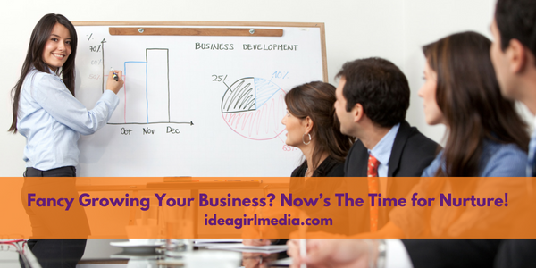 Fancy Growing Your Business? Now’s The Time for Nurture! featured image