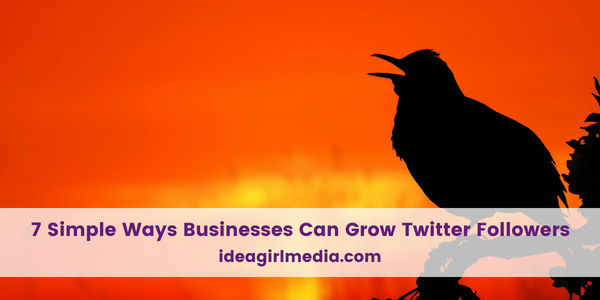 Seven Simple Ways Businesses Can Grow Twitter Followers featured image