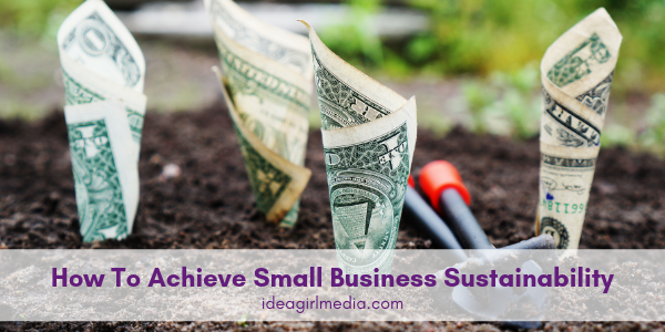 How To Achieve Small Business Sustainability featured image