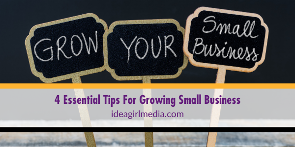 Four Essential Tips For Growing Small Business featured image