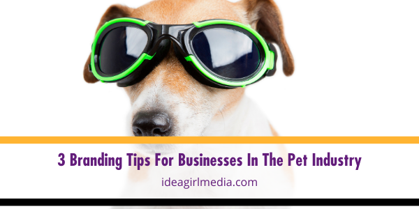 Three Branding Tips For Businesses In The Pet Industry featured image