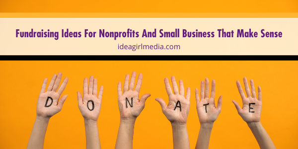 Fundraising Ideas For Nonprofits And Small Business That Make Sense featured image