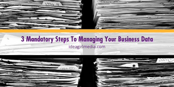 Three Mandatory Steps To Managing Your Business Data featured image