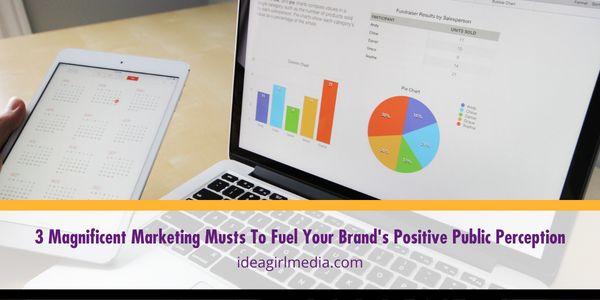 Three Magnificent Marketing Musts To Fuel Your Brand's Positive Public Perception outlined at Idea Girl Media