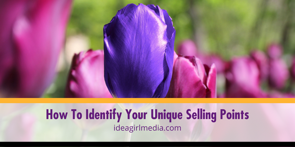 How To Identify Your Unique Selling Points featured image