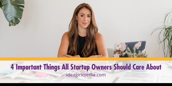 Four Important Things All Startup Owners Should Care About featured image