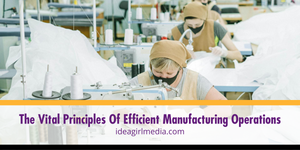 The Vital Principles Of Efficient Manufacturing Operations featured image